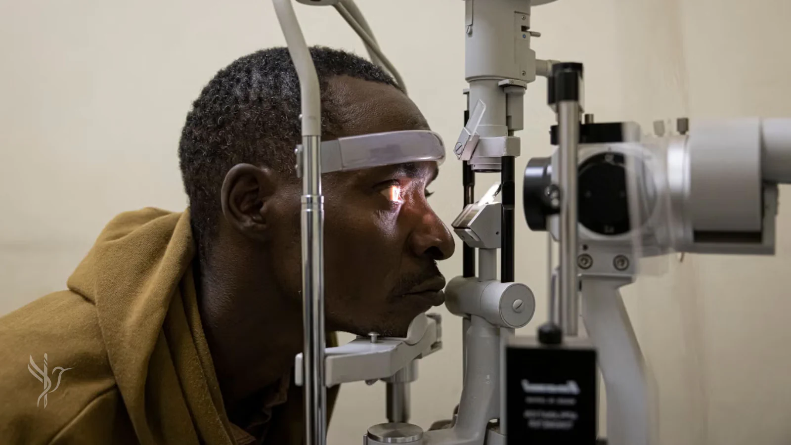 Electromechanical Reshaping (AFP via Getty Images)